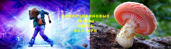 прущая мука Арсеньев