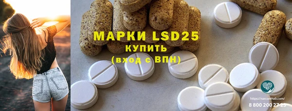 apvp Аркадак