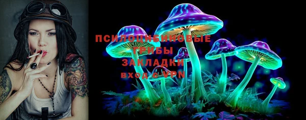 apvp Аркадак