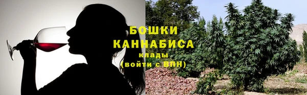 apvp Аркадак